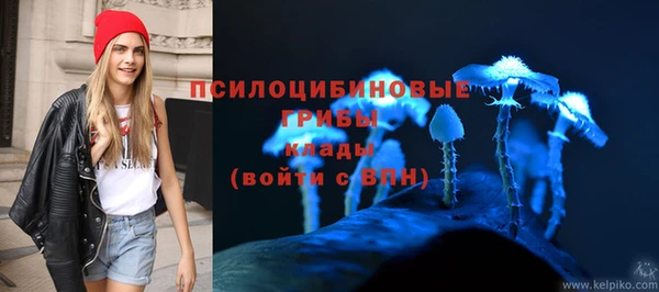 герыч Алексин