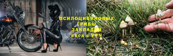 герыч Алексин