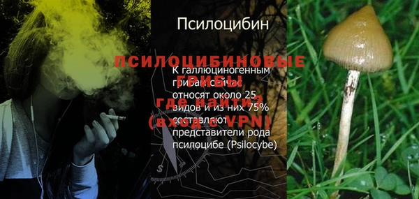 герыч Алексин